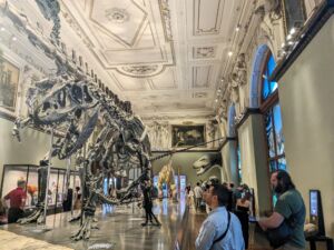 Naturhistorisches Museum Vienna