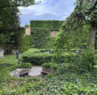 Gardens including bushes and trees and student walking in distance